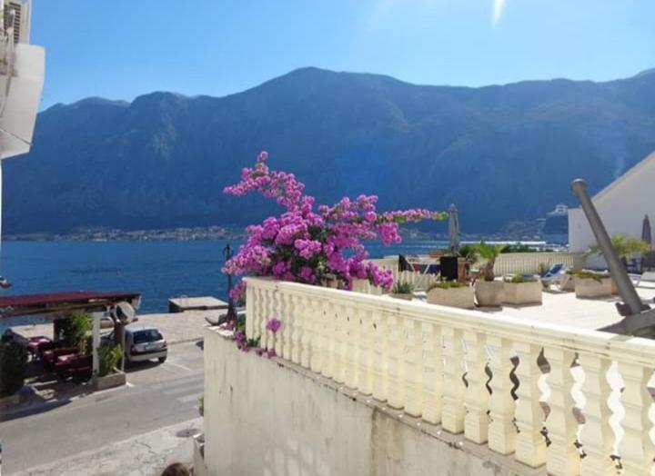 Apartments Vila Marija Kotor Exteriör bild